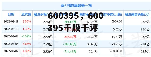 600395，600395千股千评