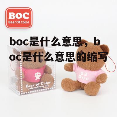 boc是什么意思，boc是什么意思的缩写