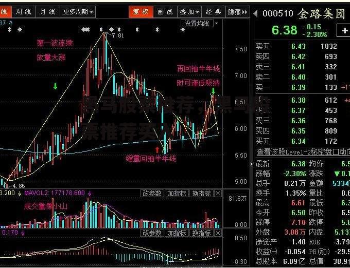 黑马股票推荐，黑马股票推荐买入