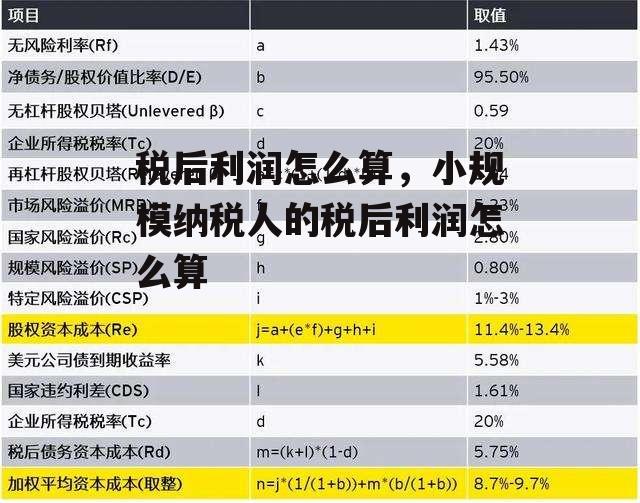 税后利润怎么算，小规模纳税人的税后利润怎么算