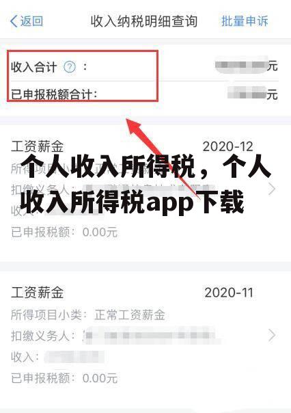 个人收入所得税，个人收入所得税app下载