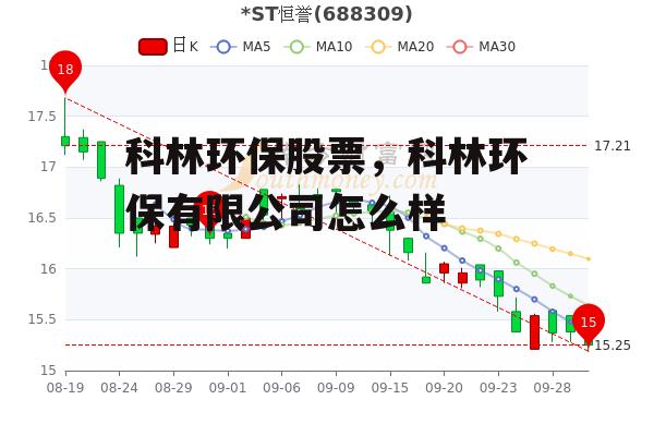 科林环保股票，科林环保有限公司怎么样