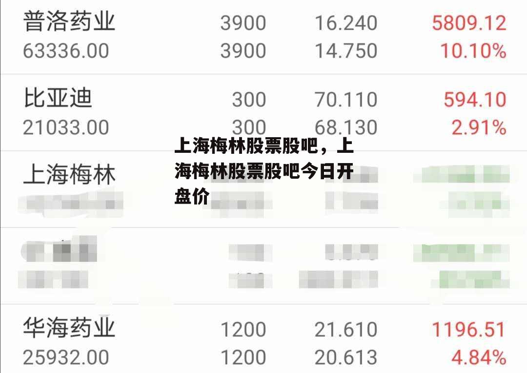 上海梅林股票股吧，上海梅林股票股吧今日开盘价