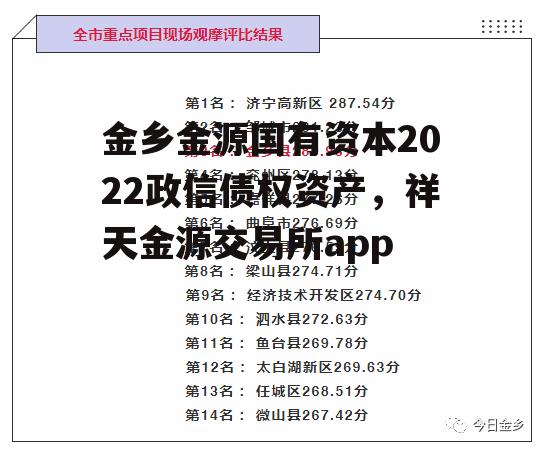 金乡金源国有资本2022政信债权资产，祥天金源交易所app