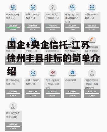 国企+央企信托-江苏徐州丰县非标的简单介绍