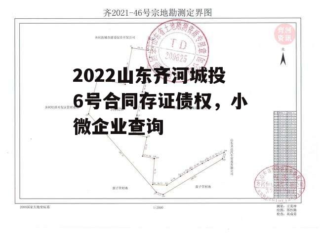 2022山东齐河城投6号合同存证债权，小微企业查询