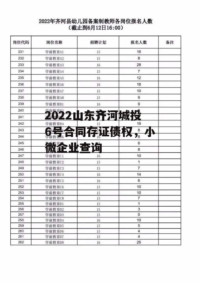 2022山东齐河城投6号合同存证债权，小微企业查询