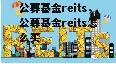 公募基金reits，公募基金reits怎么买