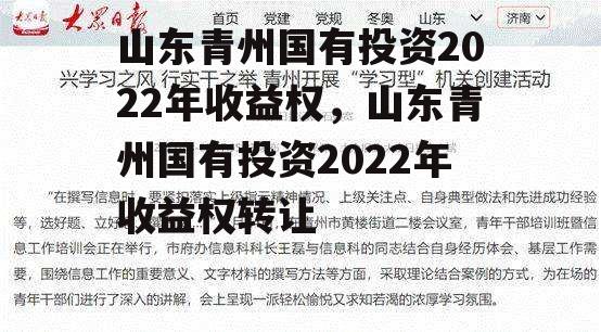 山东青州国有投资2022年收益权，山东青州国有投资2022年收益权转让