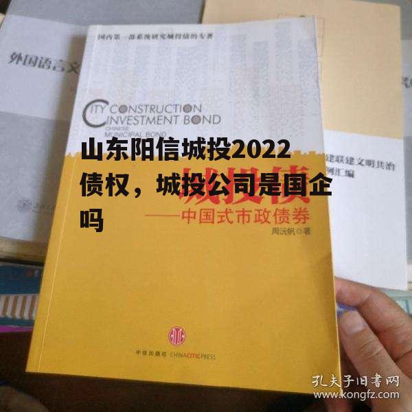 山东阳信城投2022债权，城投公司是国企吗