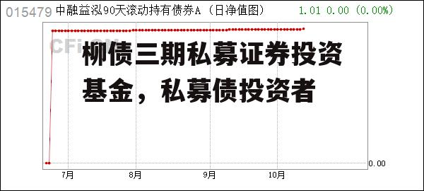 柳债三期私募证券投资基金，私募债投资者