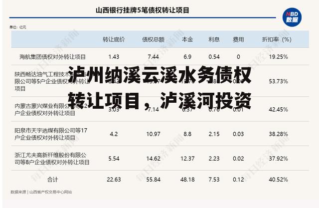 泸州纳溪云溪水务债权转让项目，泸溪河投资