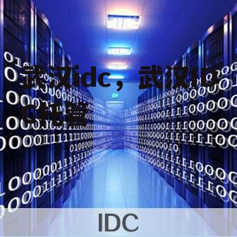 武汉idc，武汉IDC托管