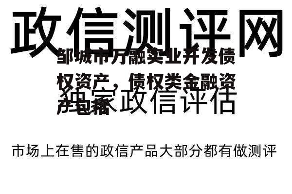 邹城市万融实业开发债权资产，债权类金融资产包括