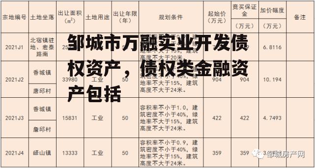 邹城市万融实业开发债权资产，债权类金融资产包括