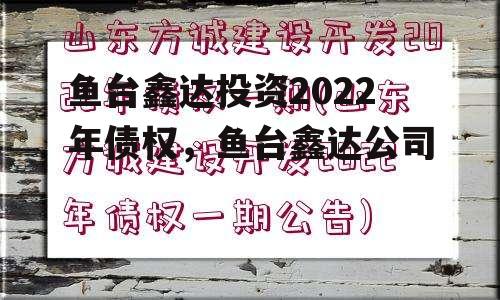 鱼台鑫达投资2022年债权，鱼台鑫达公司