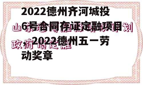 2022德州齐河城投6号合同存证定融项目，2022德州五一劳动奖章