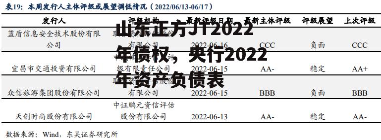 山东正方JT2022年债权，央行2022年资产负债表