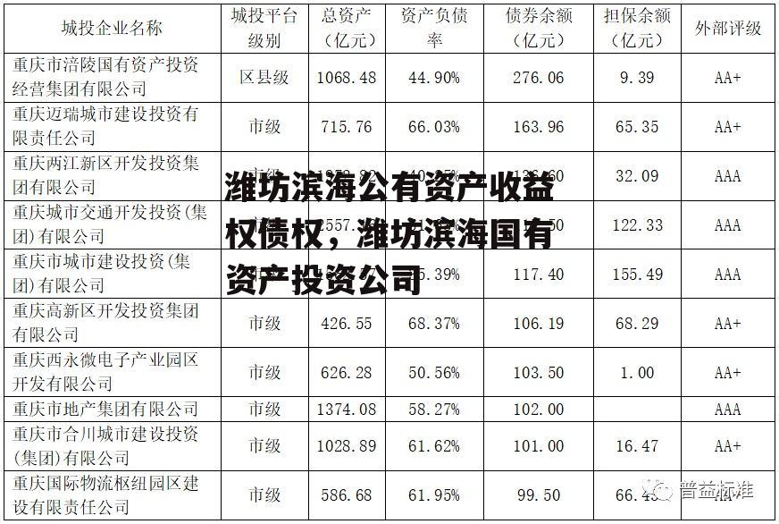 潍坊滨海公有资产收益权债权，潍坊滨海国有资产投资公司