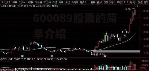 600089股票的简单介绍