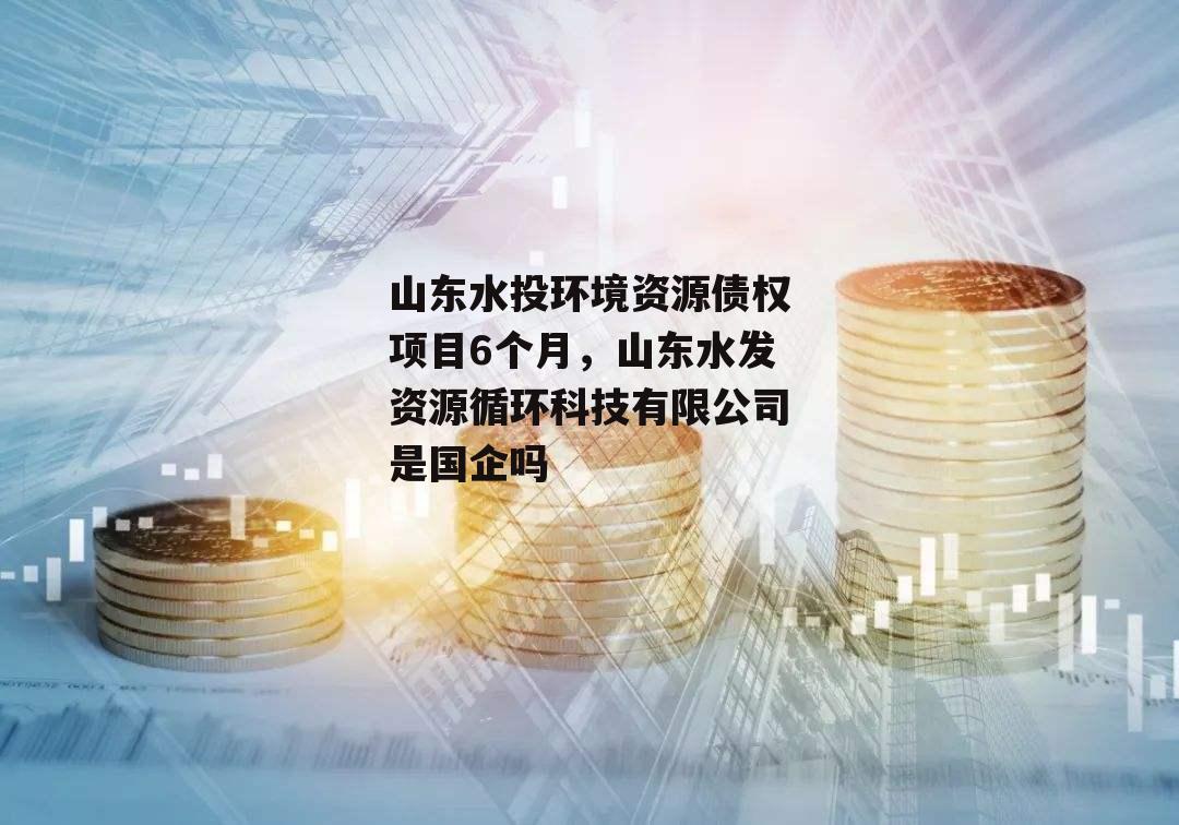 山东水投环境资源债权项目6个月，山东水发资源循环科技有限公司是国企吗