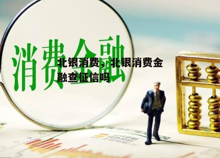 北银消费，北银消费金融查征信吗