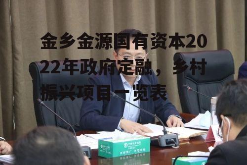 金乡金源国有资本2022年政府定融，乡村振兴项目一览表