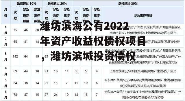 潍坊滨海公有2022年资产收益权债权项目，潍坊滨城投资债权