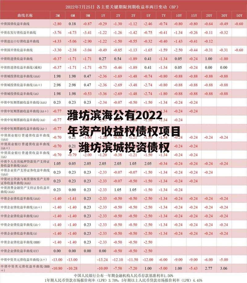 潍坊滨海公有2022年资产收益权债权项目，潍坊滨城投资债权