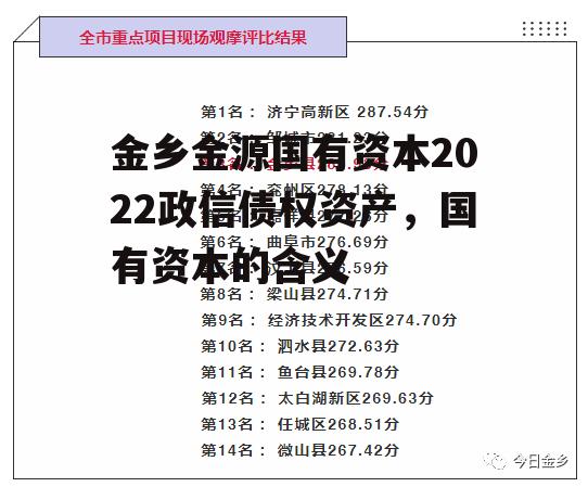 金乡金源国有资本2022政信债权资产，国有资本的含义