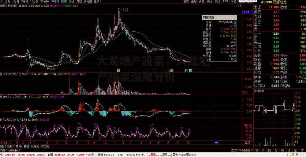 大龙地产股票，大龙地产股票深度分析