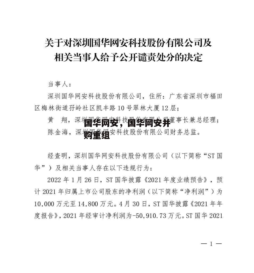 国华网安，国华网安并购重组