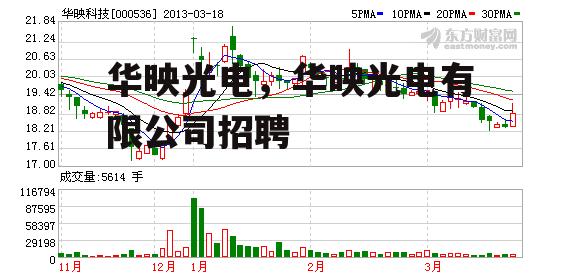 华映光电，华映光电有限公司招聘