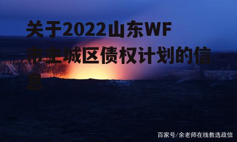 关于2022山东WF市主城区债权计划的信息