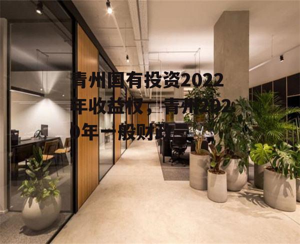 青州国有投资2022年收益权，青州2020年一般财政