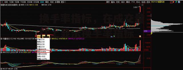 换手率指标，在成交量柱上显示换手率指标