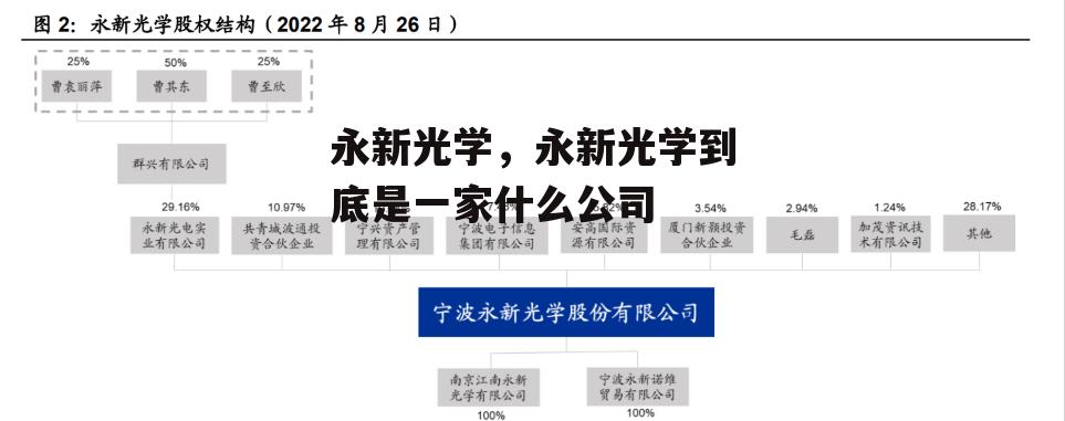 永新光学，永新光学到底是一家什么公司