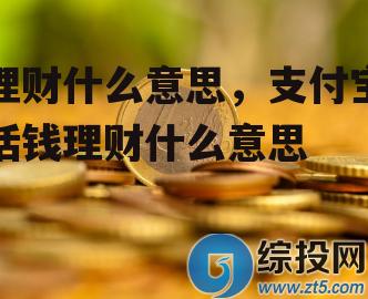 理财什么意思，支付宝活钱理财什么意思