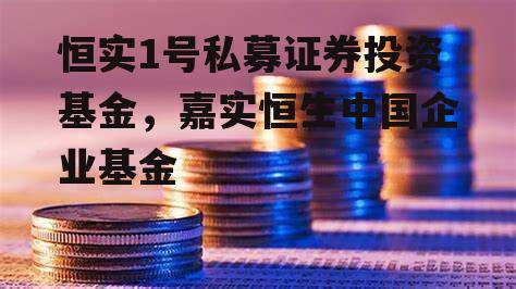 恒实1号私募证券投资基金，嘉实恒生中国企业基金