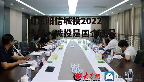 山东阳信城投2022债权，城投是国企还是央企