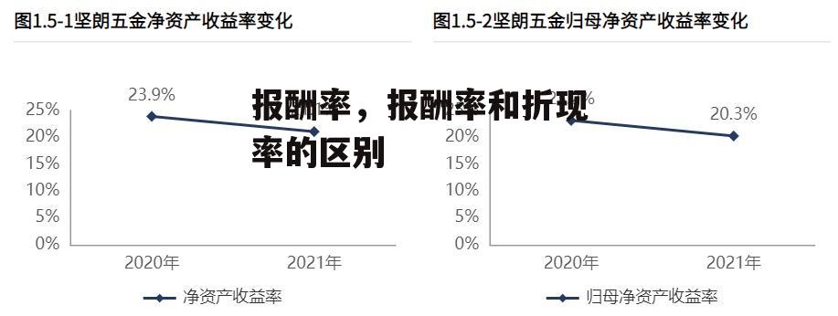 报酬率，报酬率和折现率的区别