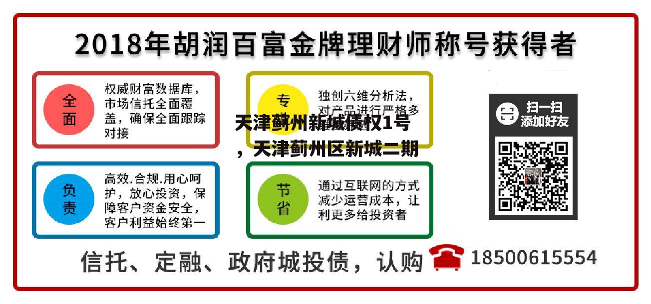 天津蓟州新城债权1号，天津蓟州区新城二期