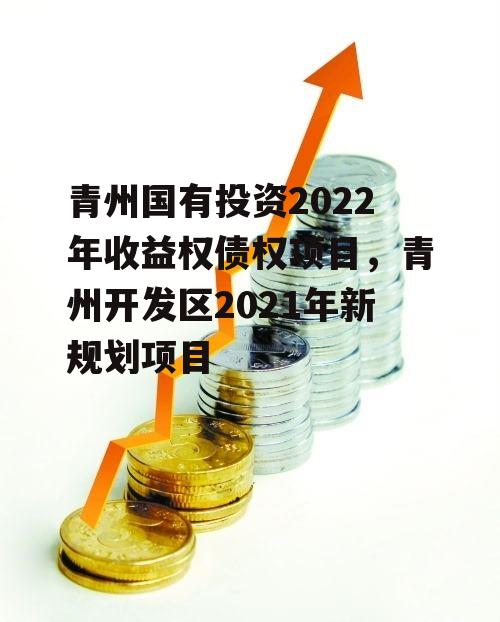 青州国有投资2022年收益权债权项目，青州开发区2021年新规划项目