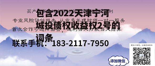 包含2022天津宁河城投债权收益权2号的词条