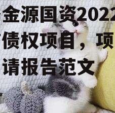 金乡金源国资2022政信债权项目，项目资金申请报告范文