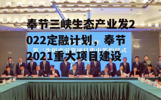 奉节三峡生态产业发2022定融计划，奉节2021重大项目建设