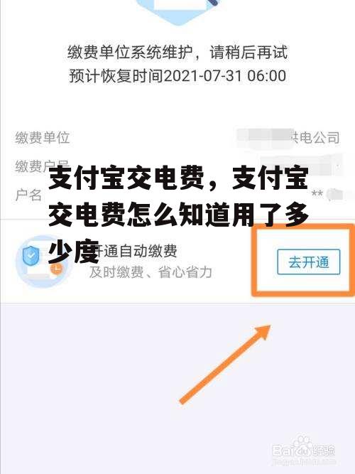 支付宝交电费，支付宝交电费怎么知道用了多少度