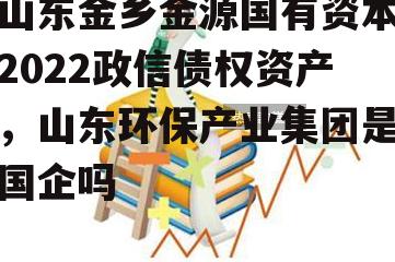 山东金乡金源国有资本2022政信债权资产，山东环保产业集团是国企吗