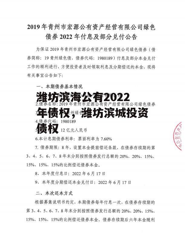 潍坊滨海公有2022年债权，潍坊滨城投资债权