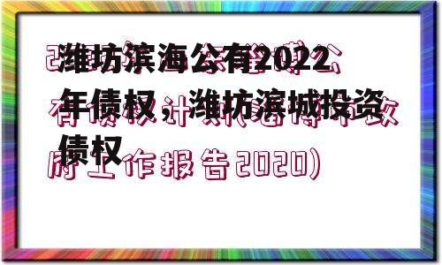 潍坊滨海公有2022年债权，潍坊滨城投资债权